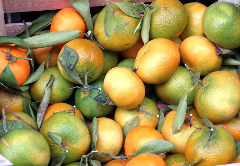 Mandarinen – Aroma pur