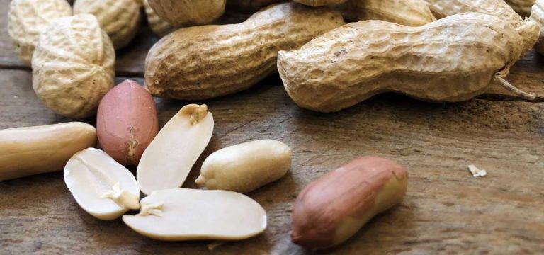 Erdnüsse: Exotische Hülsenfrüchte