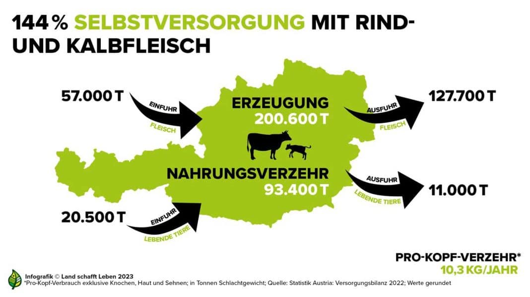 Wo kommt unser Rindfleisch her? Österreich könnte sich mit Rind- und Kalbfleisch gut selbst versorgen, importiert und exportiert jedoch auch große Mengen
